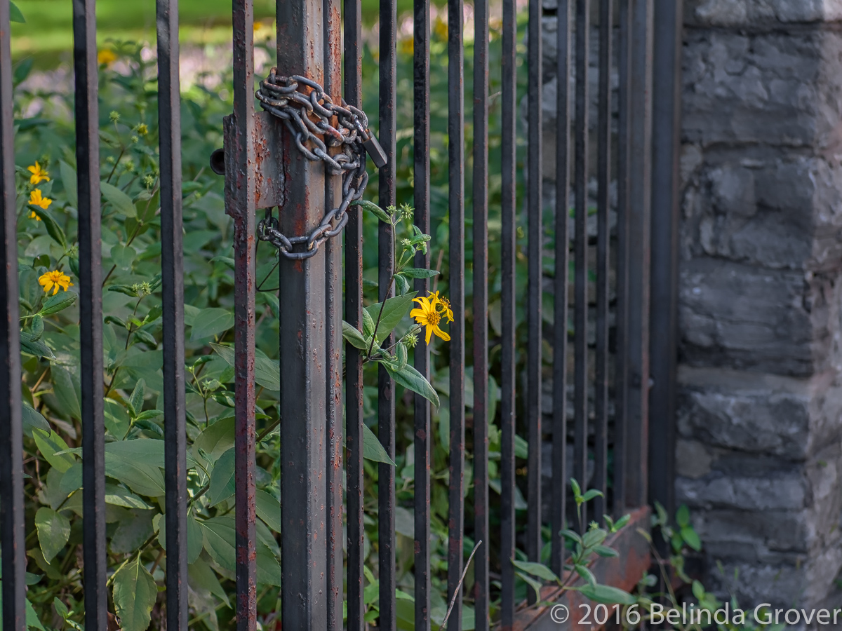 gate