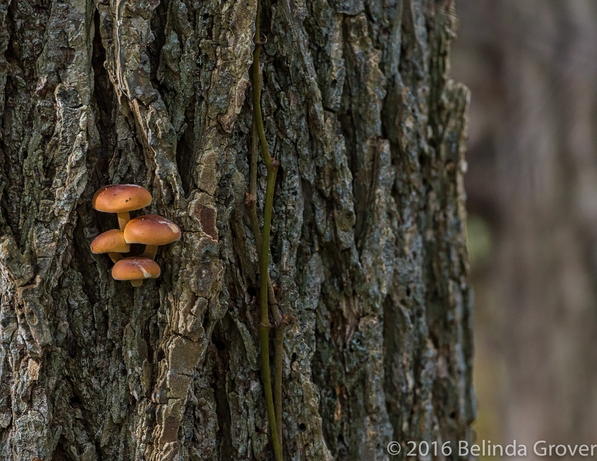 still-life-1