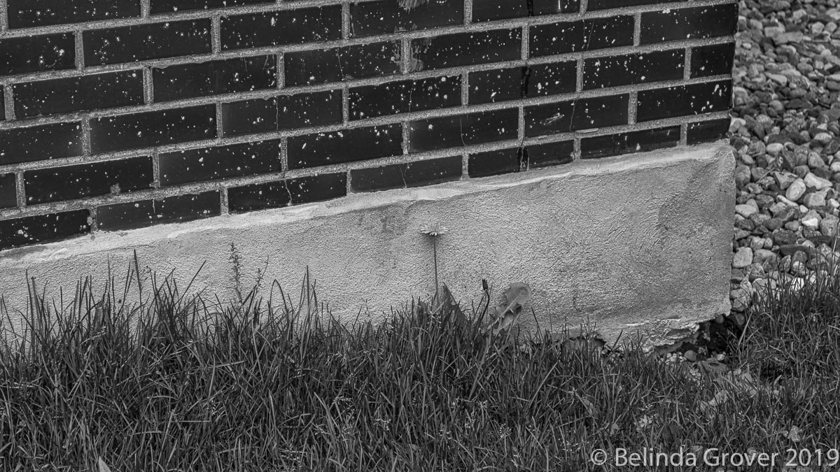 Street Scenes-3