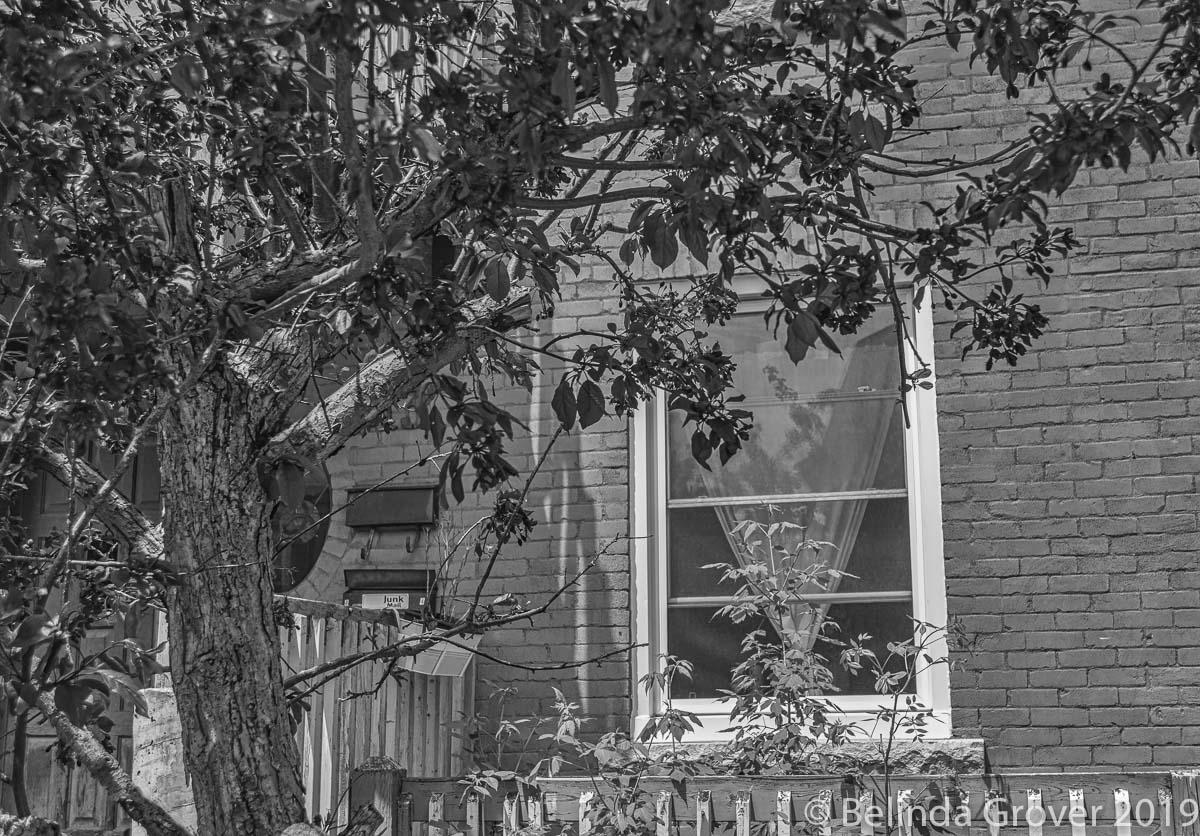 Street Scenes