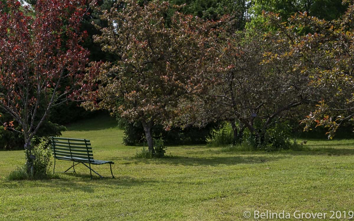 Park Bench-2