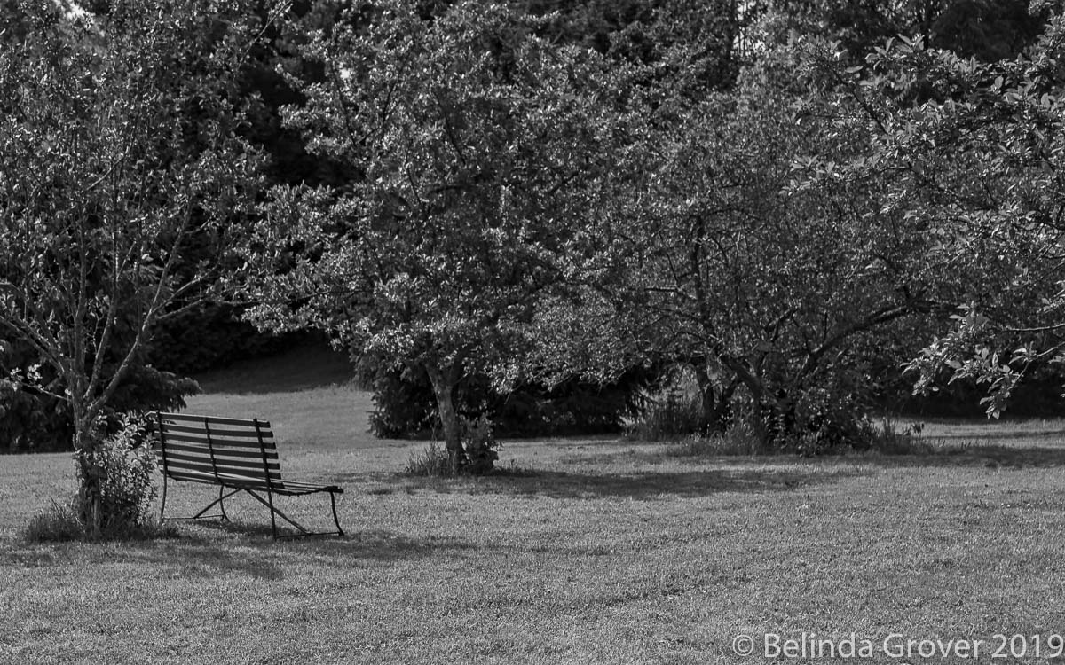 Park Bench