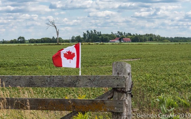 Fence & flag