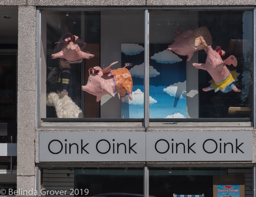 OINK-3